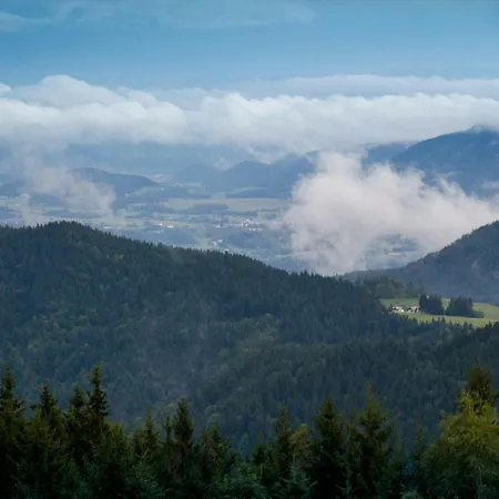 Apartment Sara Vitanje